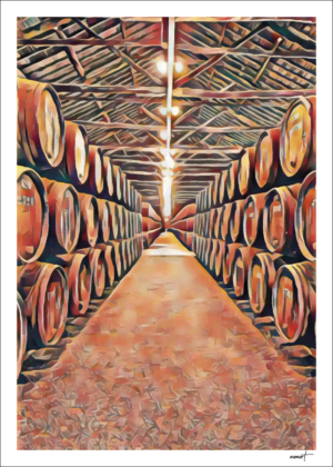Caves de vinho