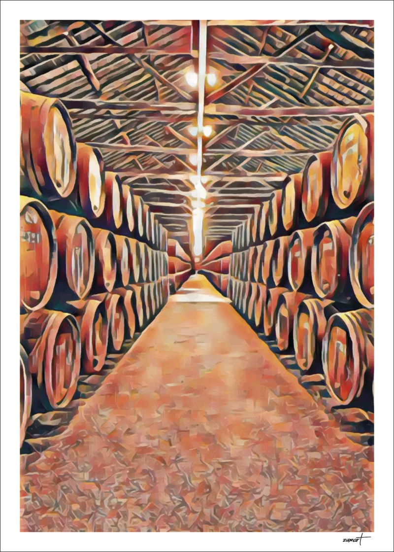 Caves de vinho