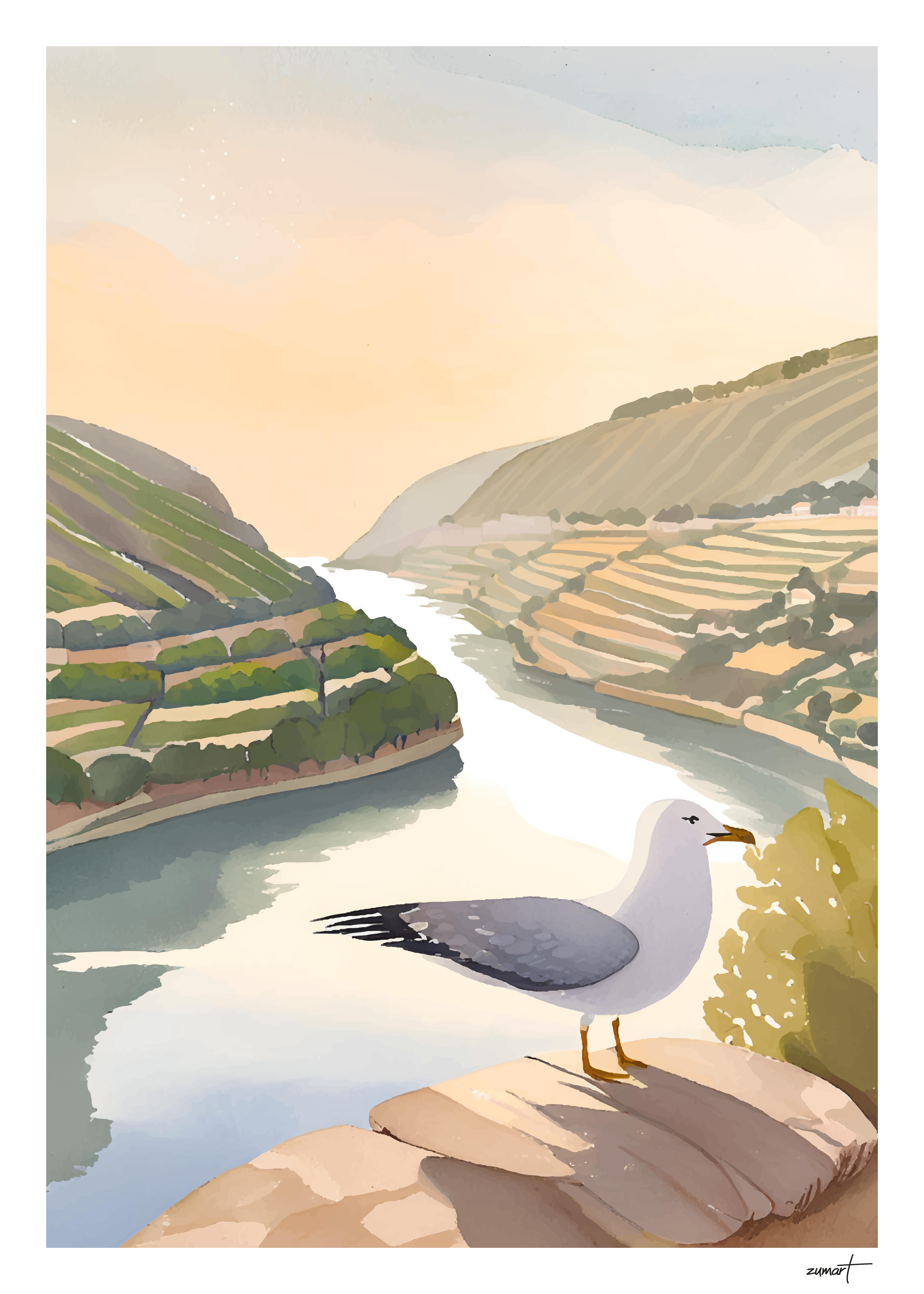 Gaivota do Douro
