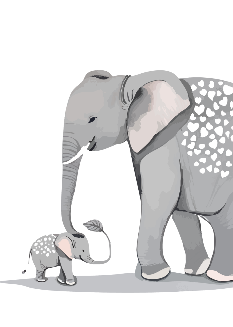 Família Elefante