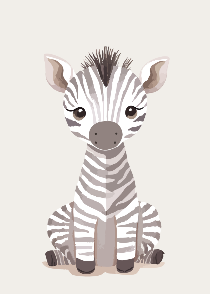 Zebra