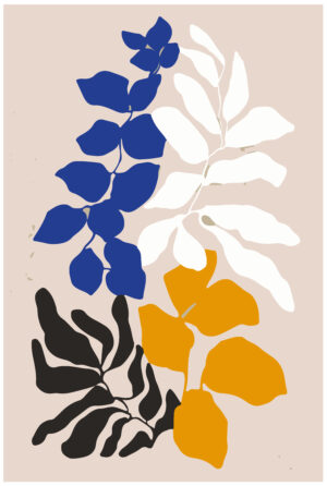 Contrast Garden