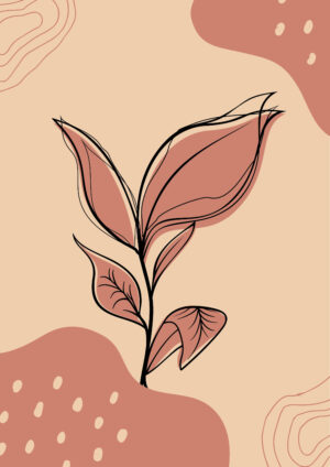 Coral Plant