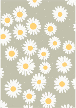 Daisy Field