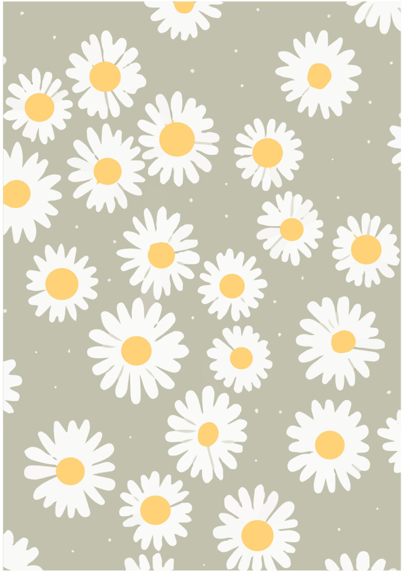 Daisy Field