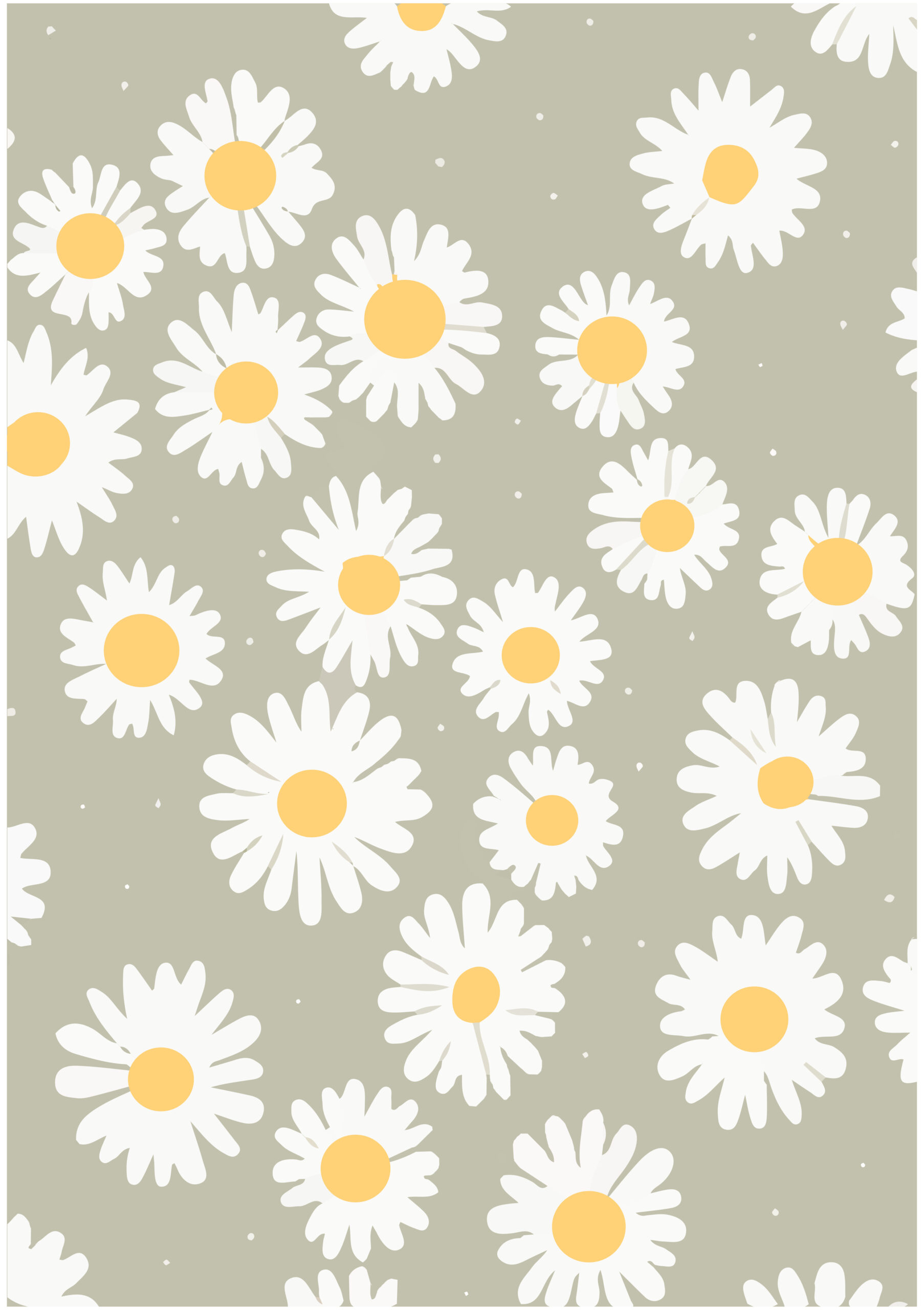 Daisy Field