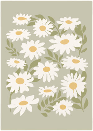 Daisy Meadow