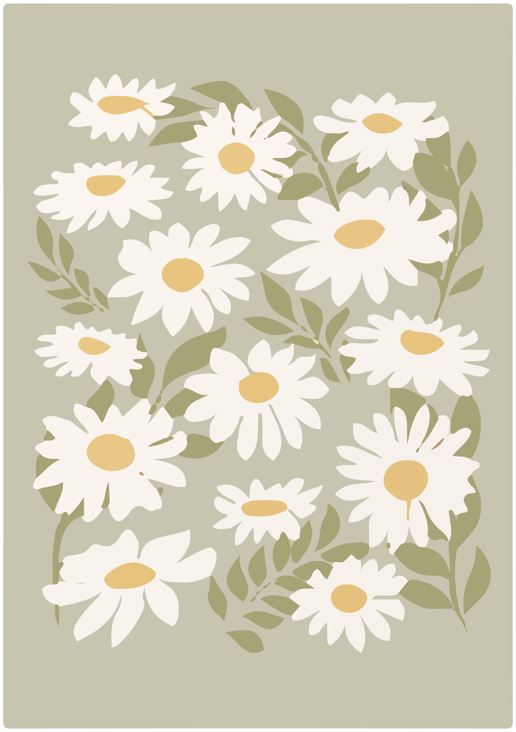 Daisy Meadow