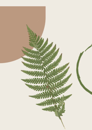 Fern Grace