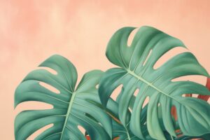 Fresh Tropics