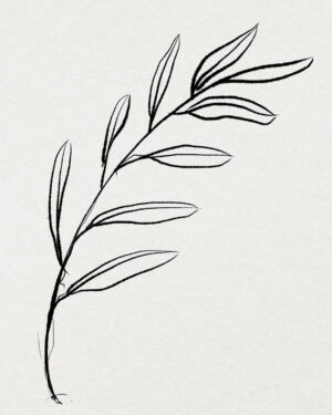 Minimal Leaf