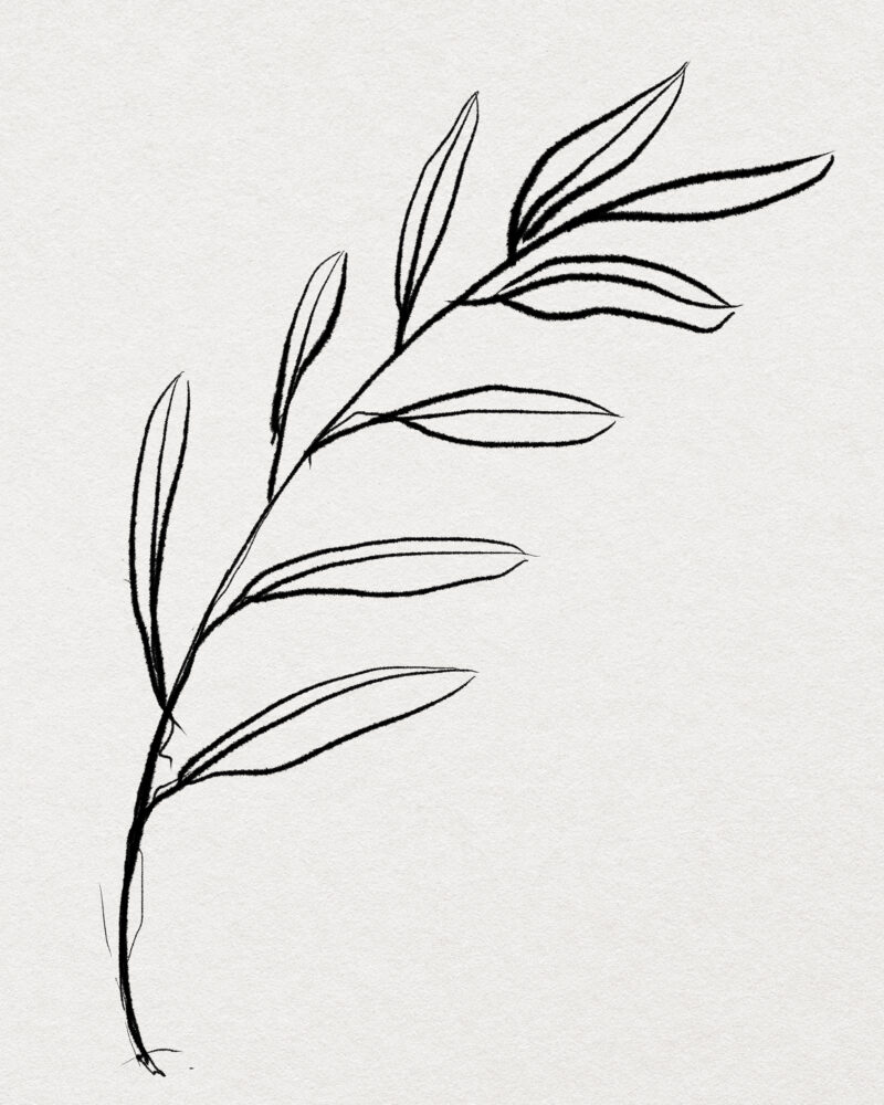 Minimal Leaf