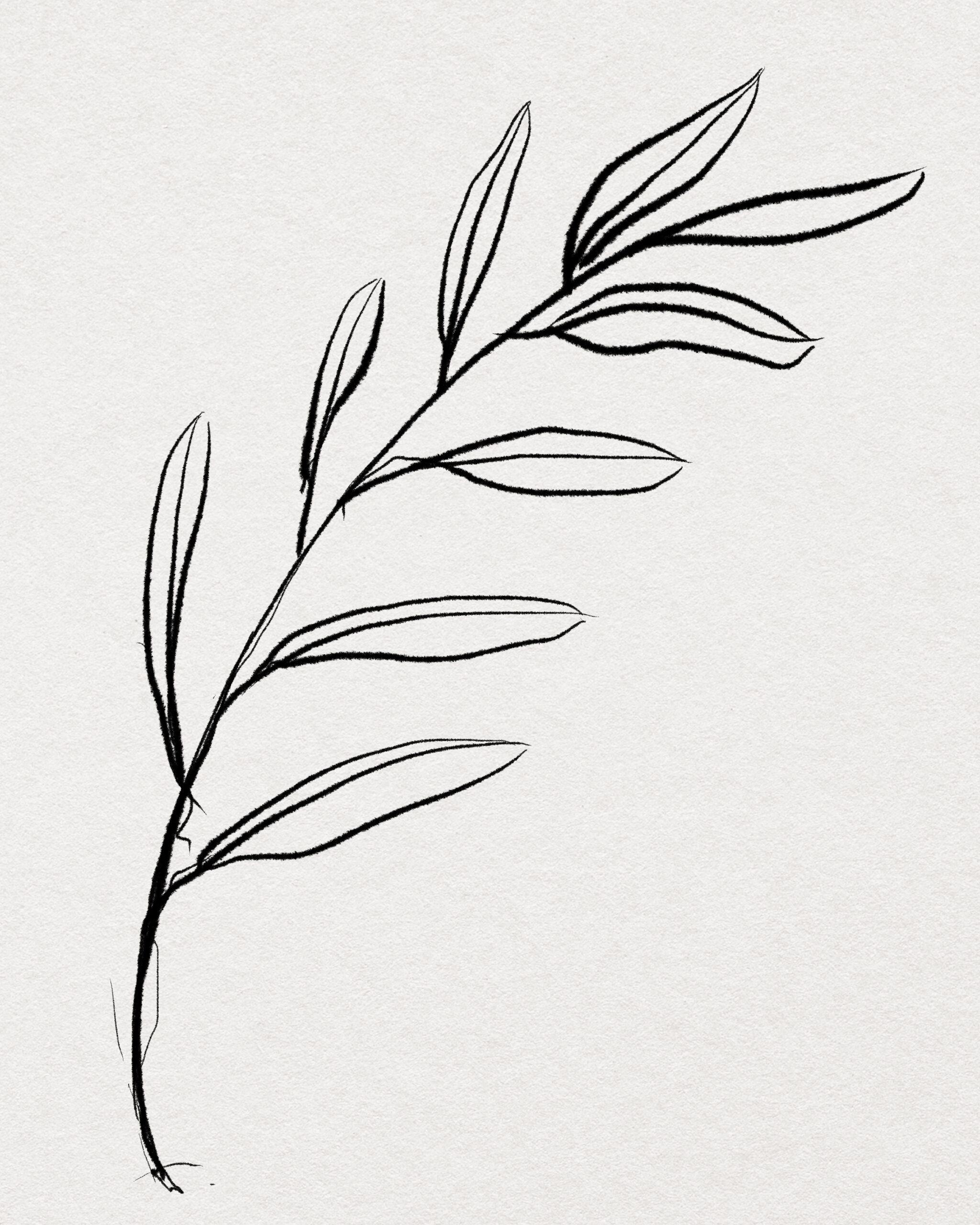 Minimal Leaf