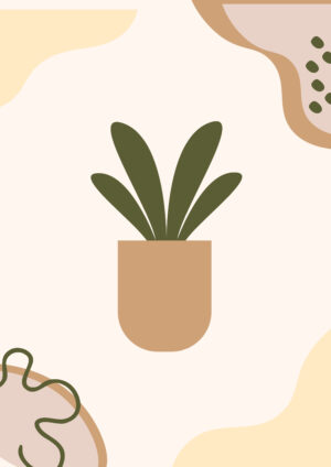 Minimal Pot