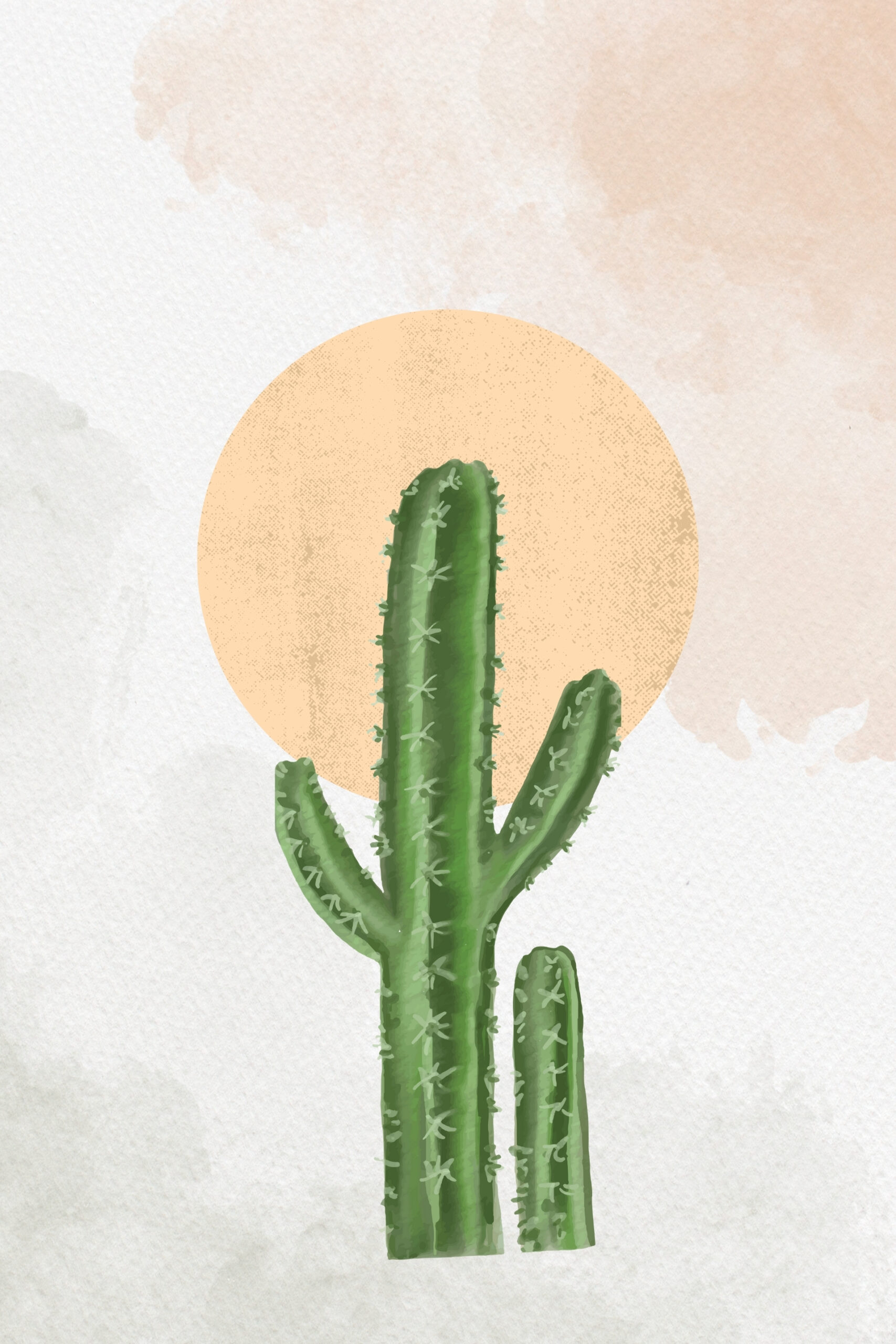 Minimalis Cactus