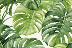 Monstera Jungle