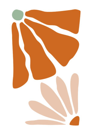 Orange Petals