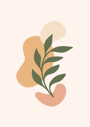Organic Growth