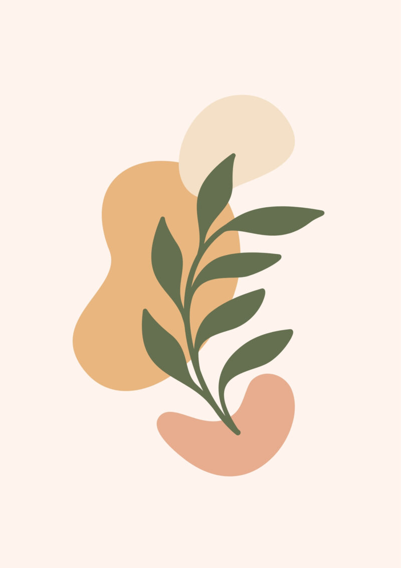 Organic Growth