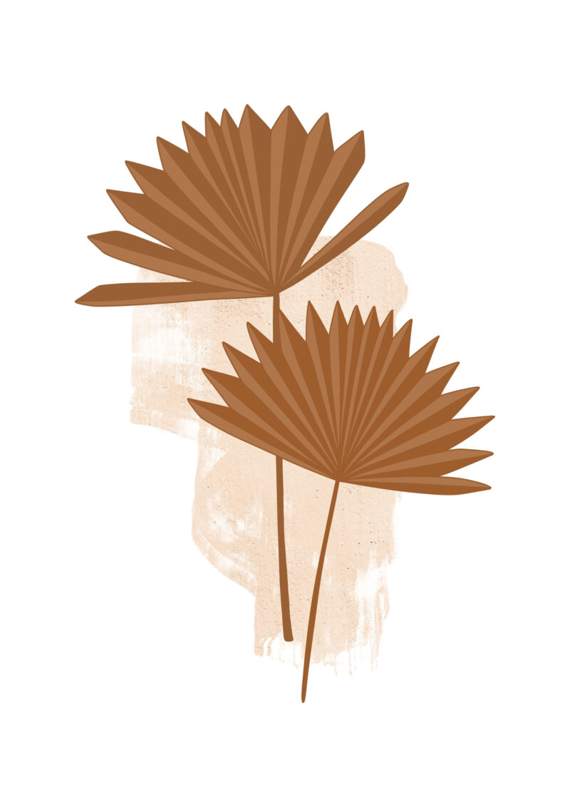 Palm Shadows