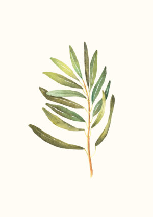 Palm Whisper
