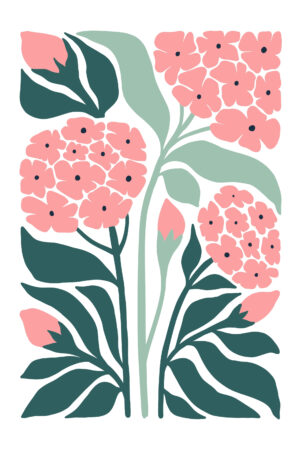 Pink Hydrangeas