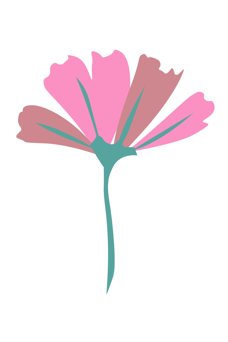 Delicate Nature Trio Pack Posters - Image 4