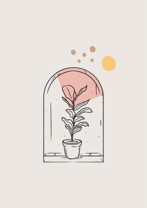 Pink Window