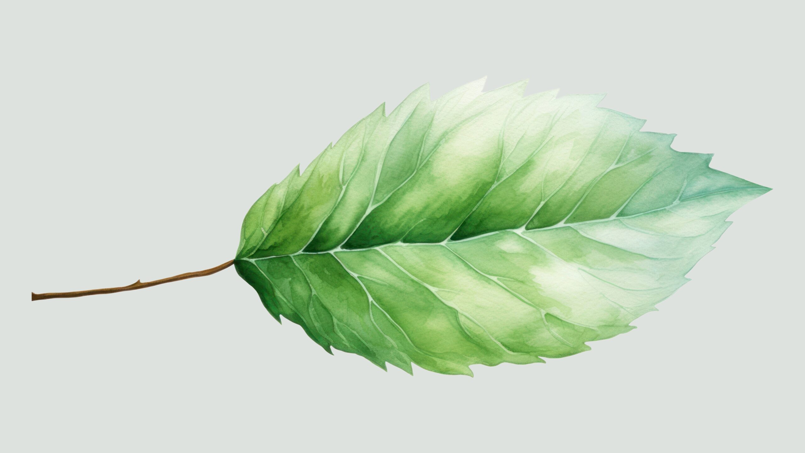 Single Leaf