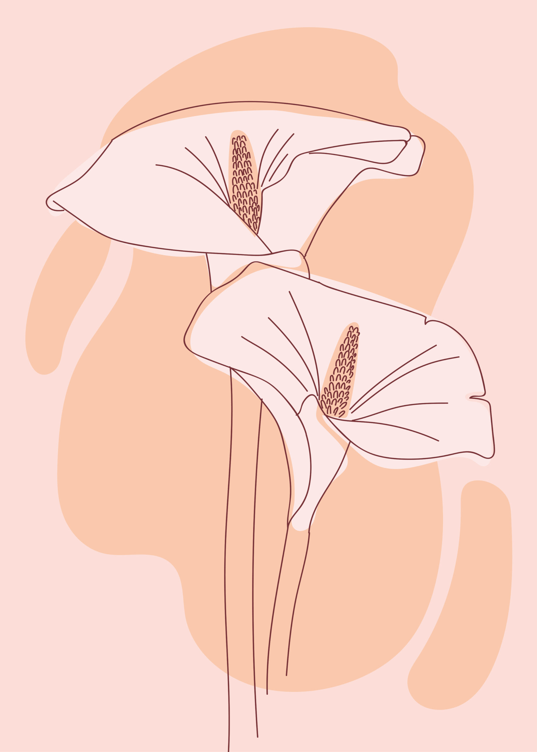 Soft Bloom