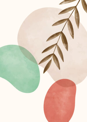 Soft Shapes