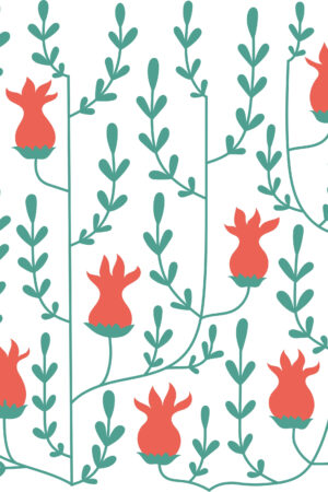 Tulip Field