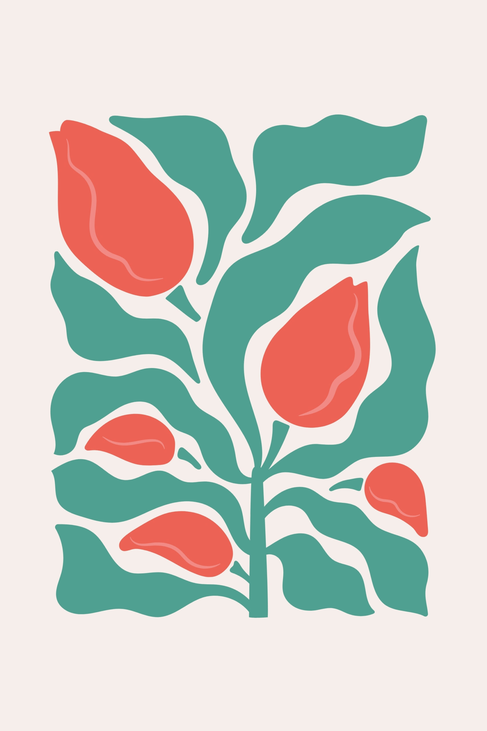 Tulip Harmony