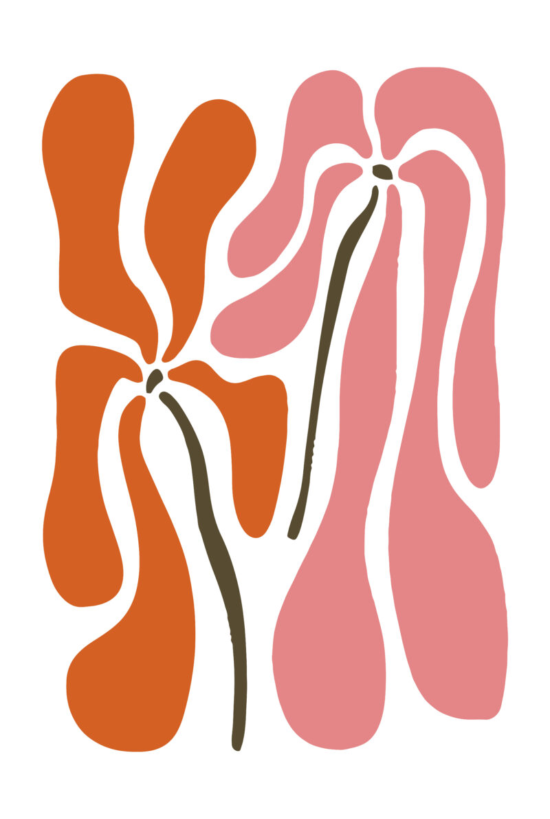 Warm Fluidity