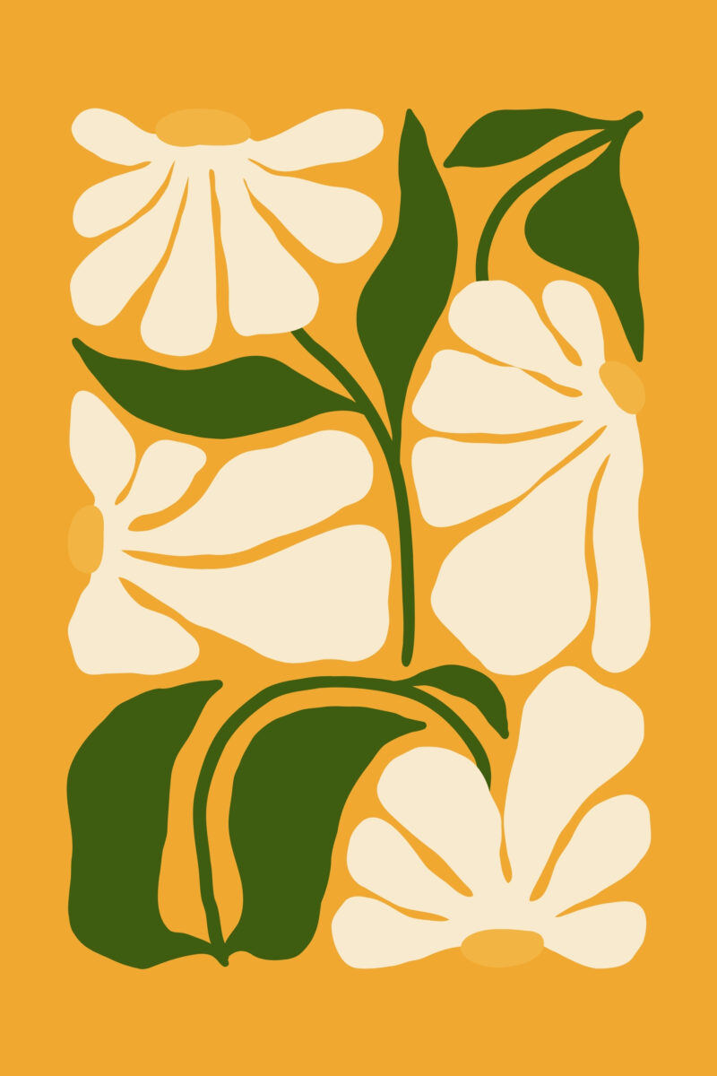 Yellow Wildflower