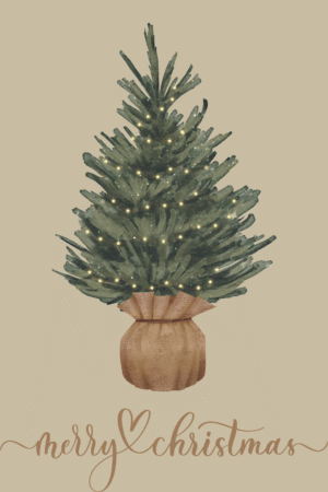 Potted Christmas Pine